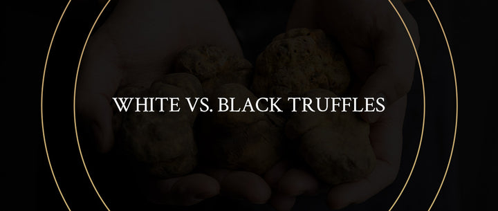 The Difference Between White & Black Truffles
