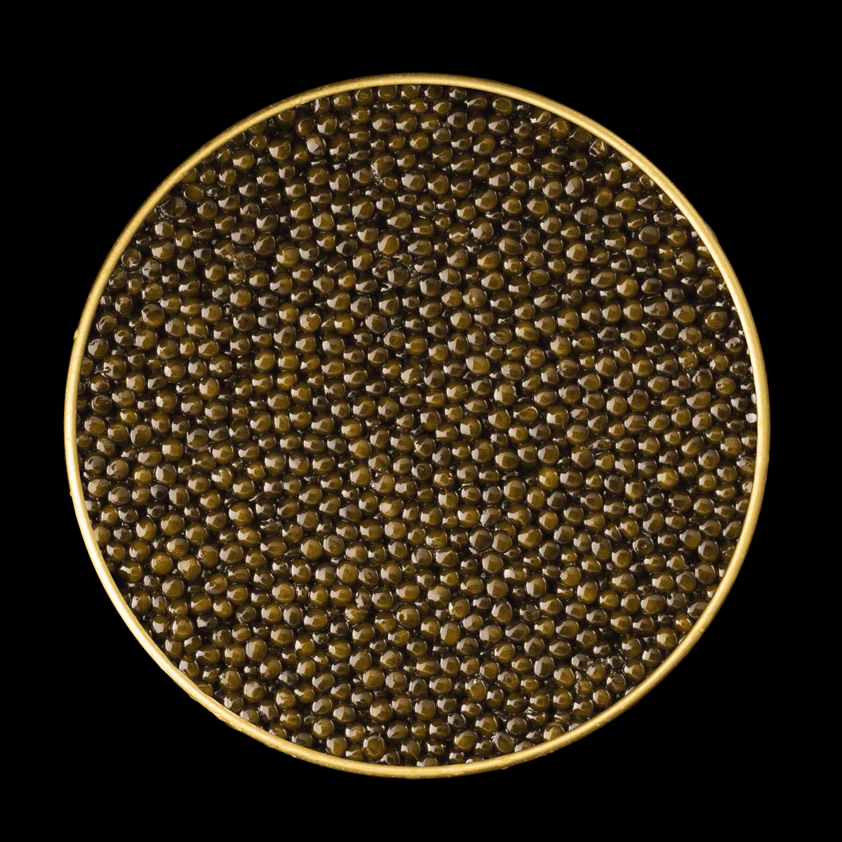 Top-down view of Imperia Royal Ossetra Caviar showing densely packed golden-olive pearls in a gold-rimmed tin.