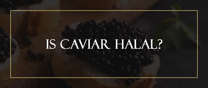 Is Caviar Halal? – Imperia Caviar