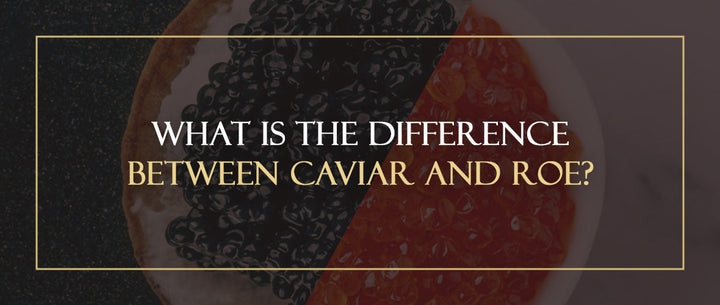 What Is the Difference Between Caviar and Roe?