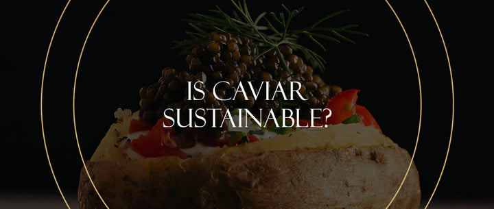 Is Caviar Sustainable?