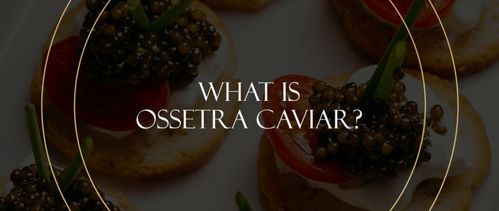 What Is Ossetra Caviar?