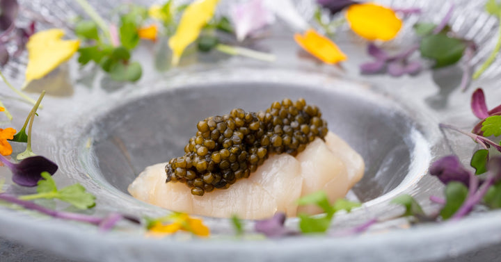 Best Seafood Pairings to Accent With Caviar