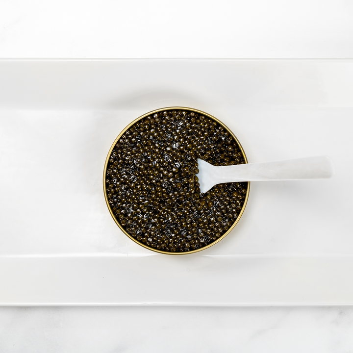 Beluga Caviar: Everything You Need to Know