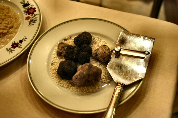 What Are Truffles & Why Are They Expensive?