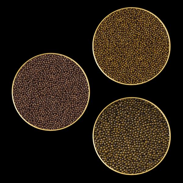 Amur, Ossetra, Kaluga Caviar Tasting Bundle – Imperia Caviar