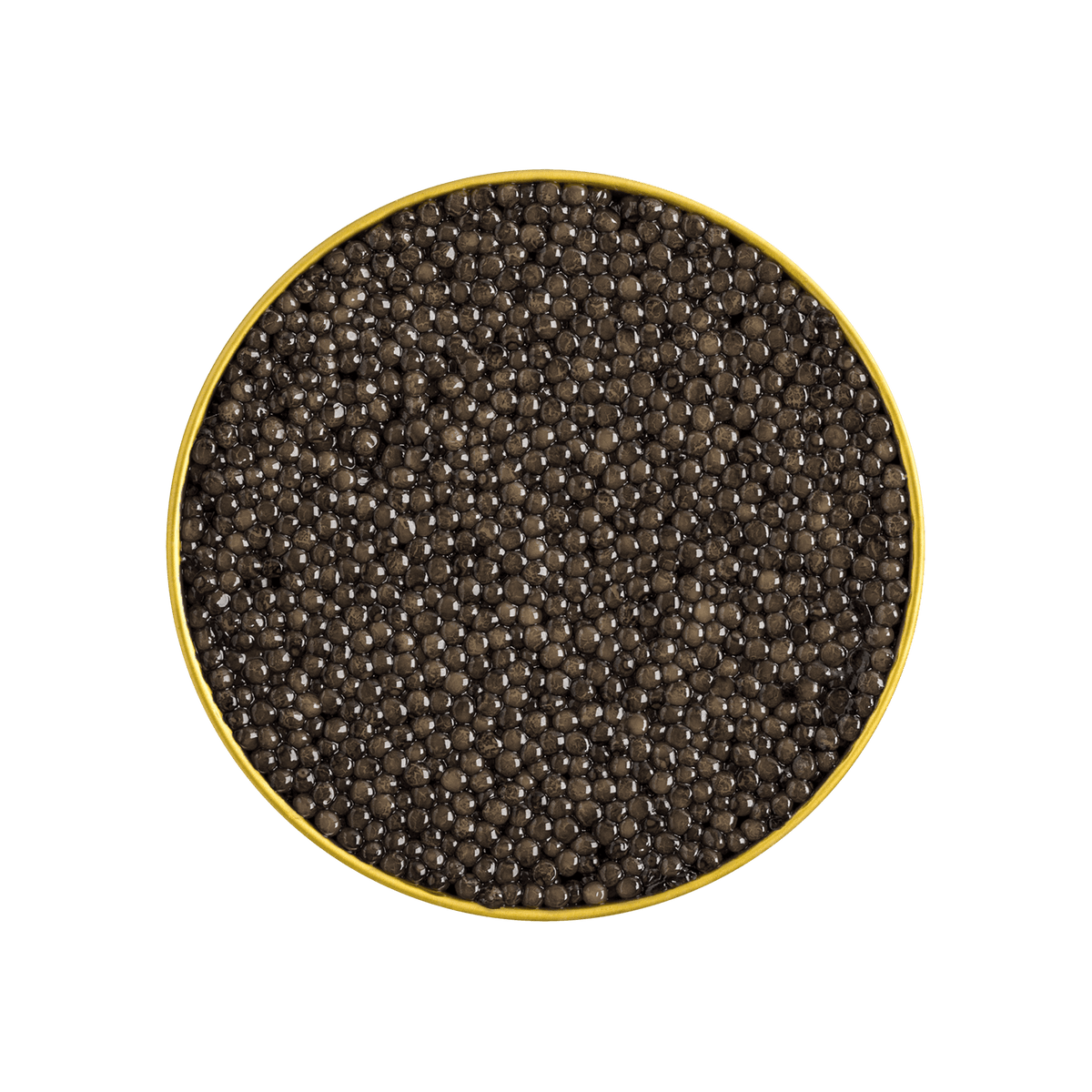Limited Edition Baerii Hybrid Caviar | Rich & Buttery Hybrid