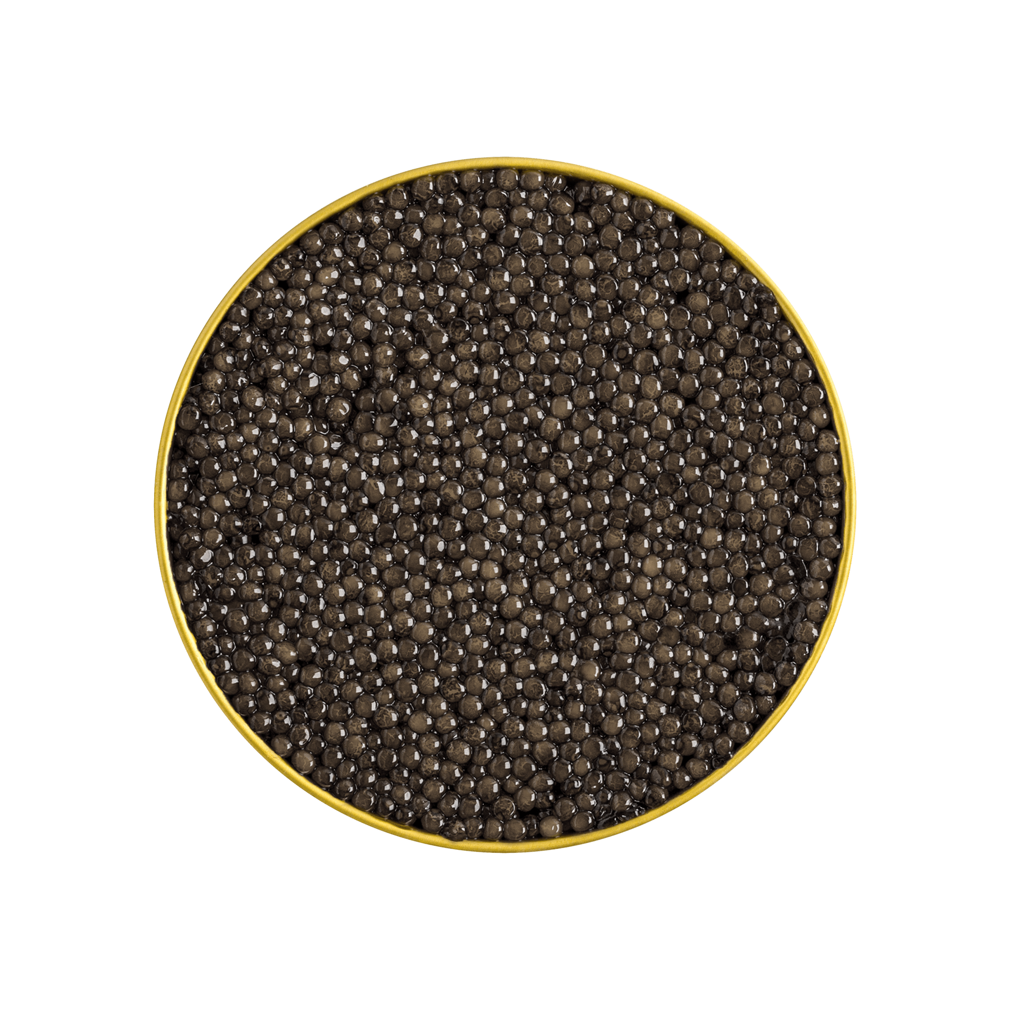 Limited Edition Baerii Hybrid Caviar | Rich & Buttery Hybrid