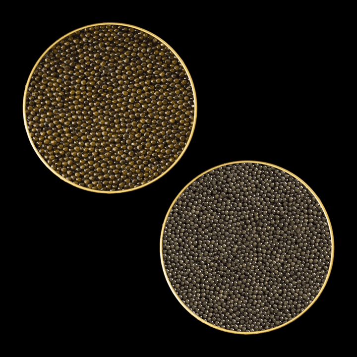 Top-down view of two open tins of Traditional Ossetra and Royal Ossetra caviar showing dark pearls on a black background.