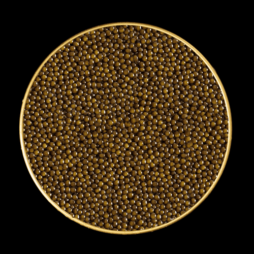 Top-down view of Imperia Kaluga Hybrid Reserve Caviar showing large, dark amber-brown pearls in a gold-rimmed tin.