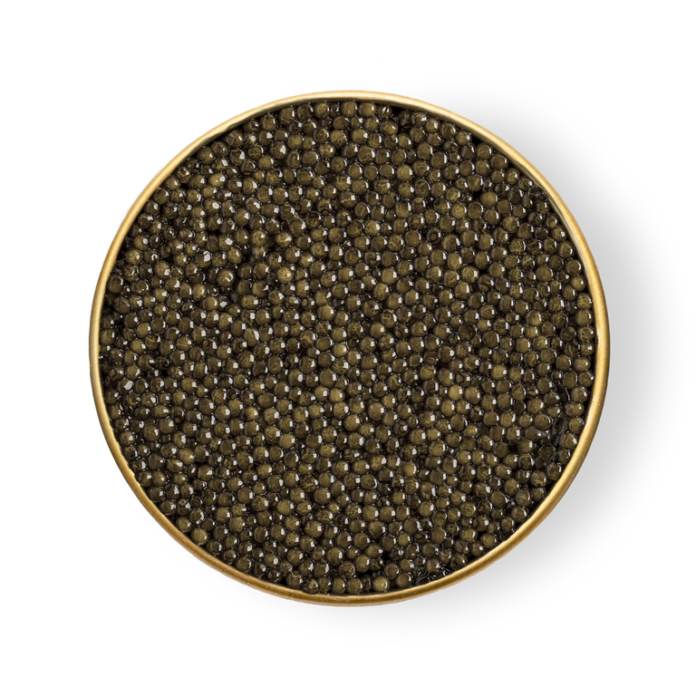 Top-down view of Imperia Limited Edition Artisans Series caviar showing dark olive-green pearls in a gold-rimmed tin.