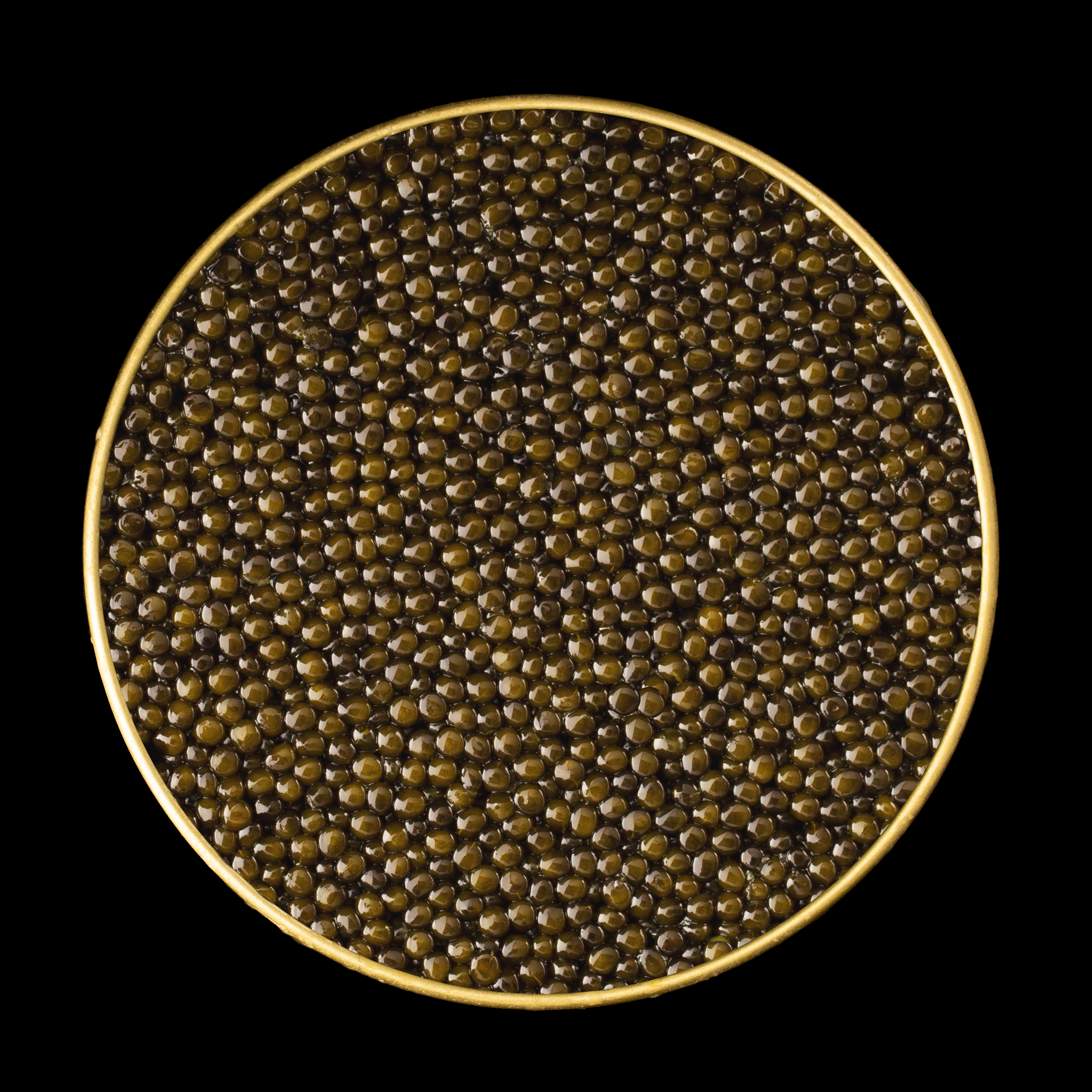Top-down view of Imperia Royal Ossetra Caviar showing densely packed golden-olive pearls in a gold-rimmed tin.