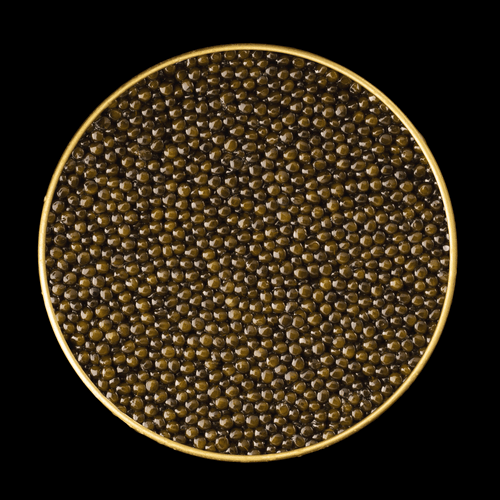 Top-down view of Imperia Royal Ossetra Caviar showing densely packed golden-olive pearls in a gold-rimmed tin.