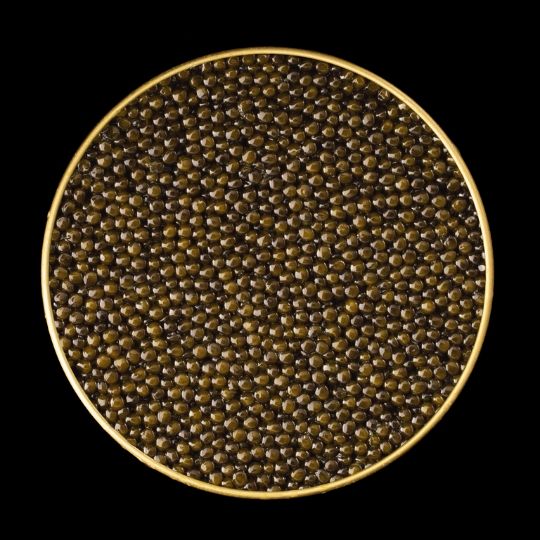 Top-down view of Imperia Royal Ossetra Caviar showing densely packed golden-olive pearls in a gold-rimmed tin.