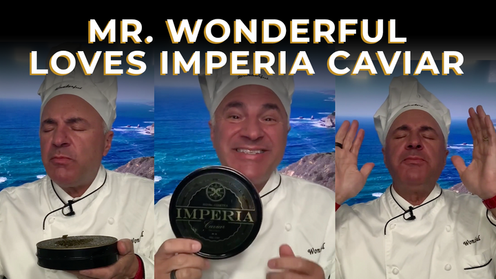 Mr. Wonderful Loves Imperia Caviar